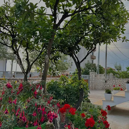 Διαμέρισμα Vela